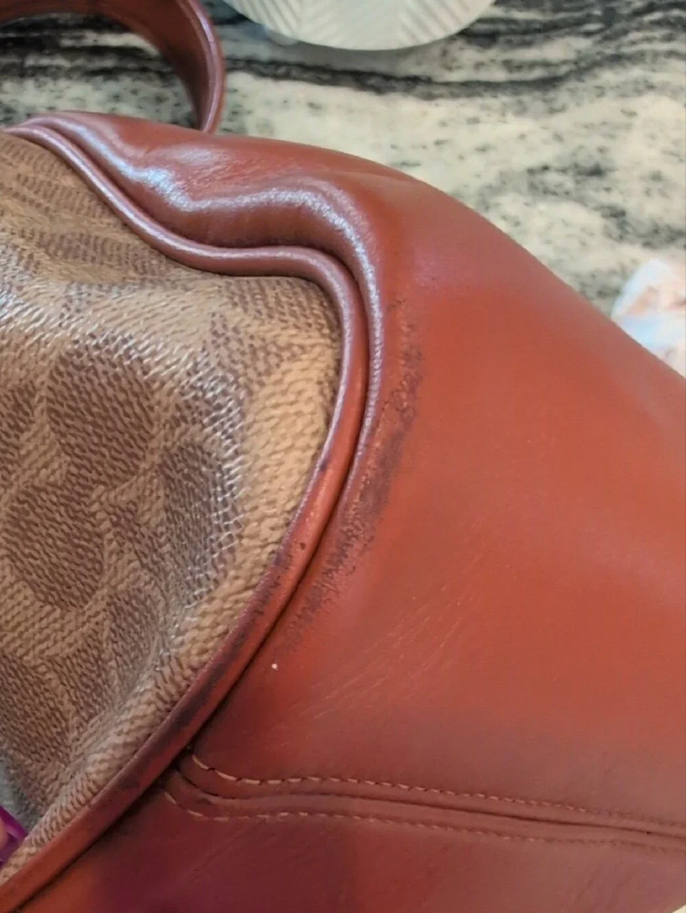 Coach Cary Signature Canvas And Leather Hobo Bag